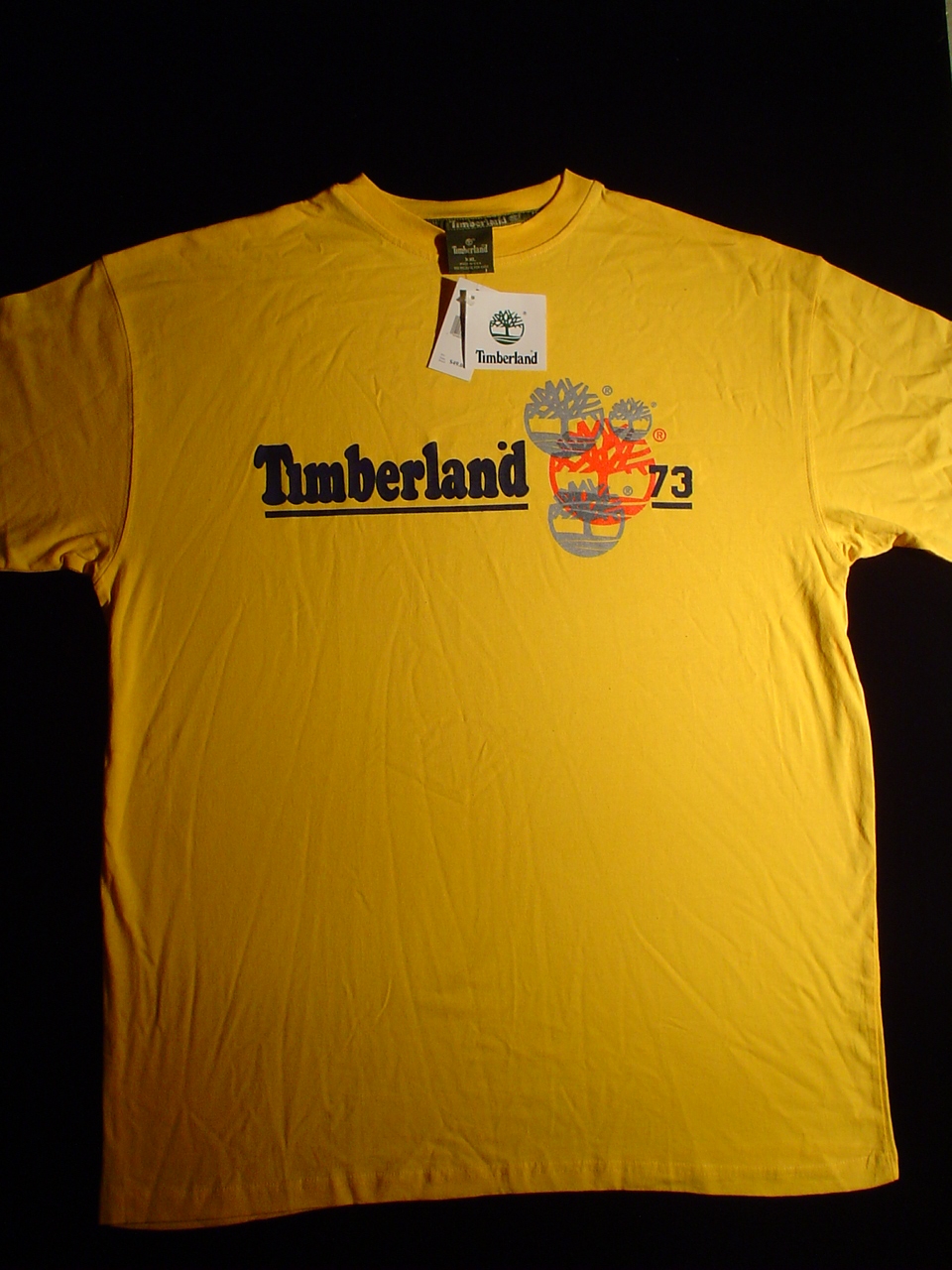 timberland1.jpg