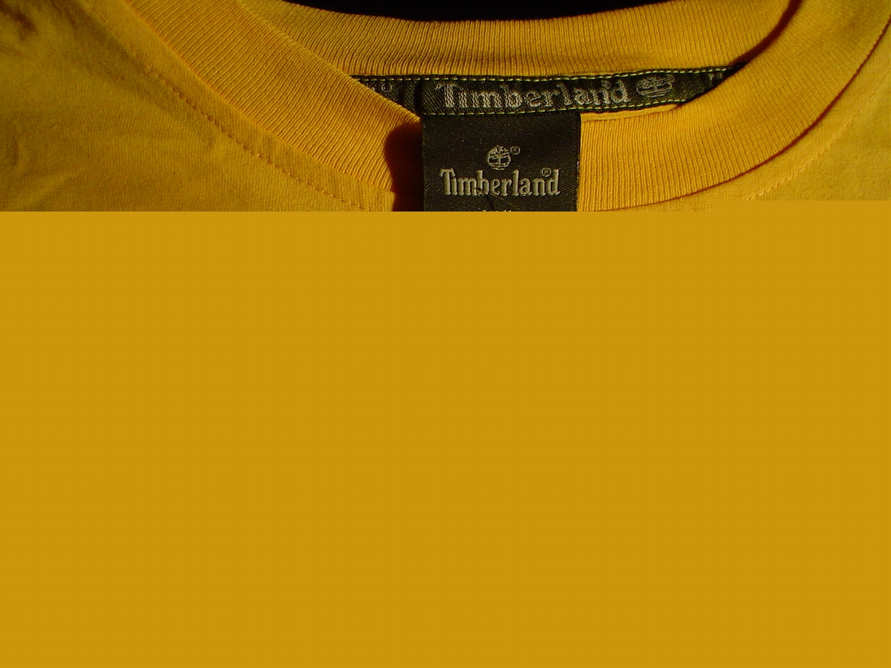 timberland2.jpg